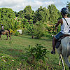 Le Ranch, Balade à cheval à Marie Galante en Guadeloupe